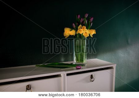 yellow daffodil flowers with pupple tulip blooming in vase with green wall. Dark key. Interior with candle