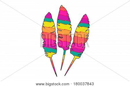 Zig Zag Design Colorful Feathers Abstract Art
