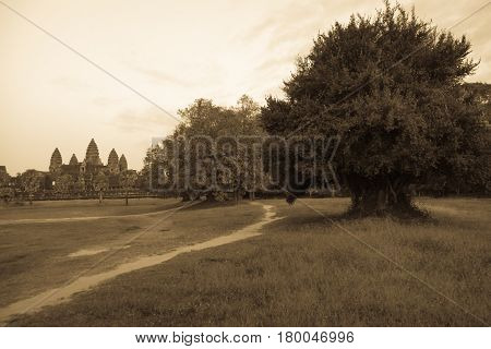 The outline of the Anghor Wat on the horizon. Path meadow trees. Sepia.