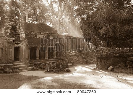 On the small inner courtyard of the Angkor Wat through the branches of the trees are rays of light. Sepia.