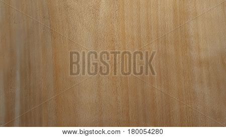 wood texture with natural pattern background tree
