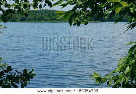 Views of the blue lake through the green leaves summer