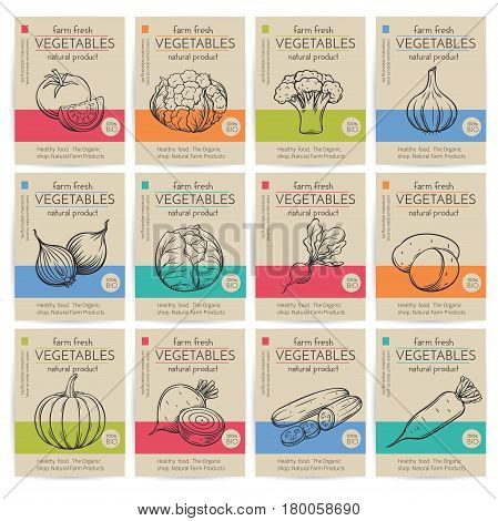 Vector hand drawn vegetables posters. Vintage style healthy food concept for farmers market menu design