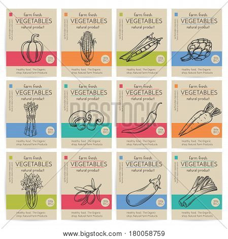 Vector hand drawn vegetables posters. Vintage style healthy food concept for farmers market menu design