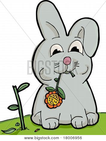 Cute Bunny Eating