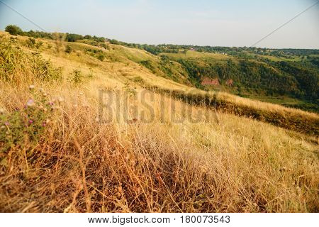 Dry Grass On The Mountain With Blue Sky At Doi Monjong,