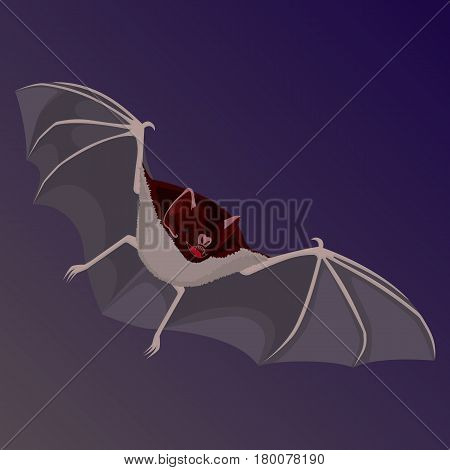 Brown flitter mouse with opened wings flat design isolated. Vector illustration of cheiroptera mammals cartoon style