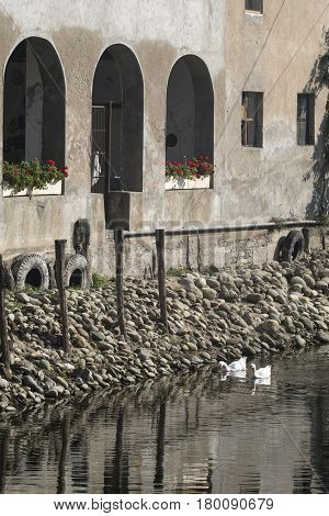 Country house along the Naviglio Grande of Turbigo (Milan Lombardy Italy) at fall with geese