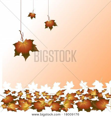 Herbst Hintergrund.