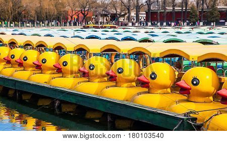 Duck Boats at Beihai Park Beijing China