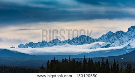 Winter Storm
