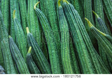 Fresh Angled loofah Angled Gourd (Luffa acutangula Roxb.) Vegetable for background