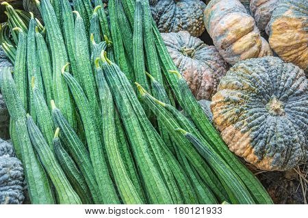 Fresh Angled loofah and pumpkin Angled Gourd (Luffa acutangula Roxb.) Vegetable for background