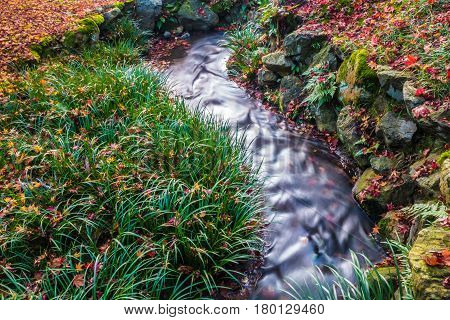 Autumn garden with stream water at Eikando Zenrinji Temple Kyoto Japan