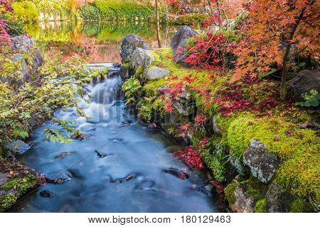 Autumn garden with stream water at Eikando Zenrinji temple Kyoto Japan.