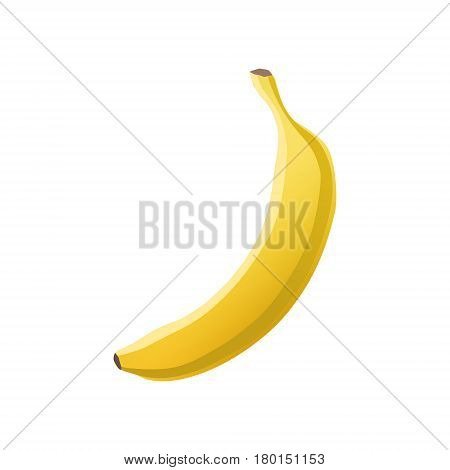 Yellow banana isolated on a white background. Vector illustratioin
