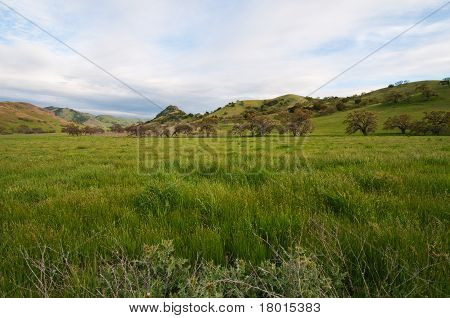 Tavasz