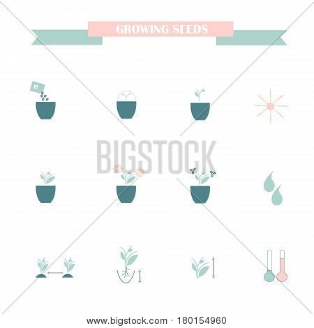 Flat icons of farming cultivation of seeds and plants, blue and pink on white stock vector illustration