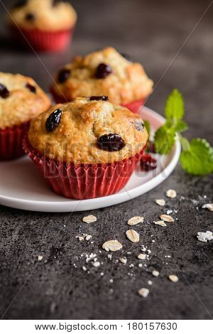 Nutritious Oatmeal Muffins With Cranberries