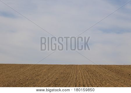 field of a farmer