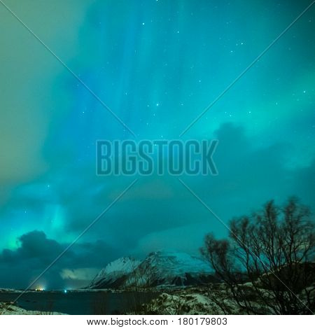 Aurora Borealis Known as Nother Lights Playing with Vivid Colors Over Lofoten Islands in Norway. Square Image Orientation