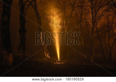 Surreal Light In Dark Forest, Magic Fantasy Lightsin The Fairy Tale Foggy Forest