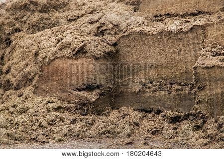Texture of the pressed rapeseed cake. Used in agriculture as an additive to livestock feed.