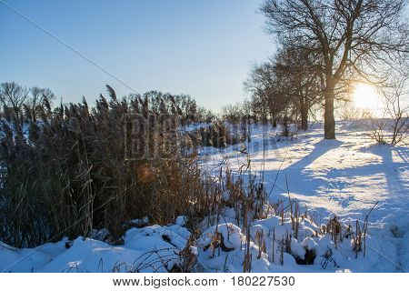 Sunny winter landscape of field in Ukraine