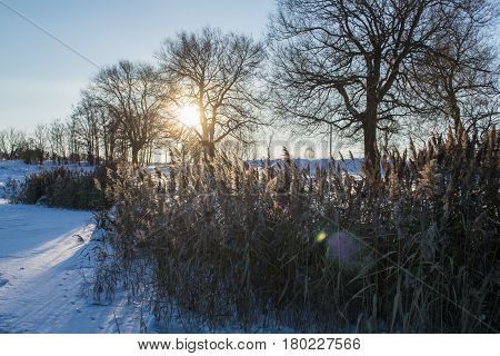Sunny winter landscape of field in Ukraine