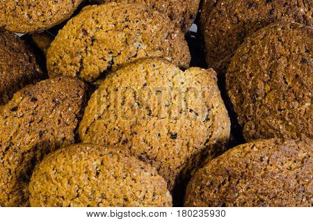 Fresh oatmeal cookies on a white background