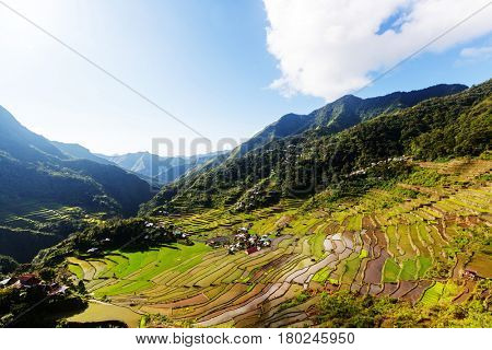 Beautiful Green Rice terraces in the Philippines. Rice cultivation in the Luzon island.