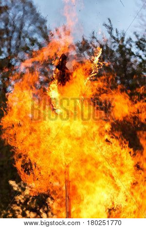 Big Walpurgis Night Fire