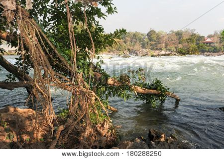 The Strong Cascade Of Don Phapheng Waterfalls Of River Mekong