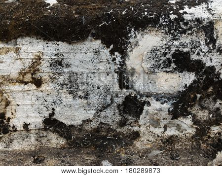 Detail surface of dirty cement wall for background