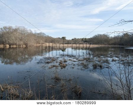 Marshy upper reaches of Acushnet River in Acushnet Massachusetts