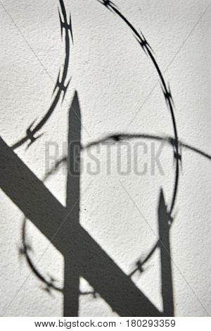 Razor Wire Shadows. Shadows on a wall of a razor wire fence.