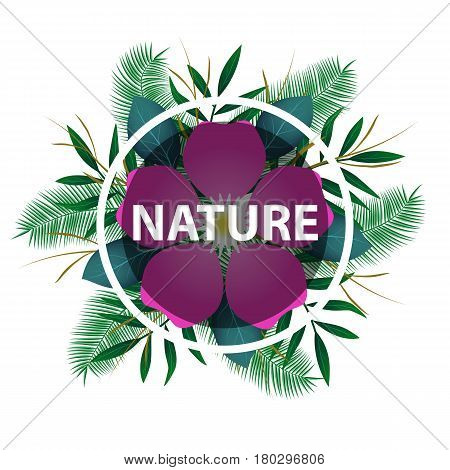 Tropical exotic leaves and branches composition with lettering. Vector illustration.