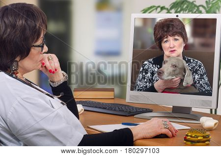 Telemedicine veterinarian provides a diagnosis and advice for weimaraner dog on computer monitor. Sitting at the desk virtual vet looks at pet with owner attentively. Horizontal mid-shot on blurred interior background