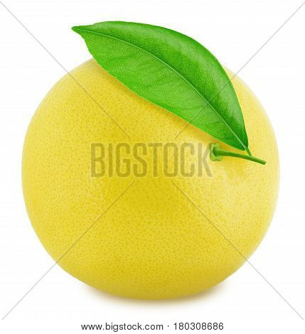 White grapefruit isolated on a white background. Close up