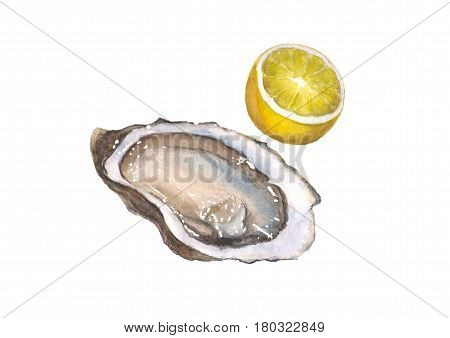 Watercolor hand draw oyster and lemon isolated on white background