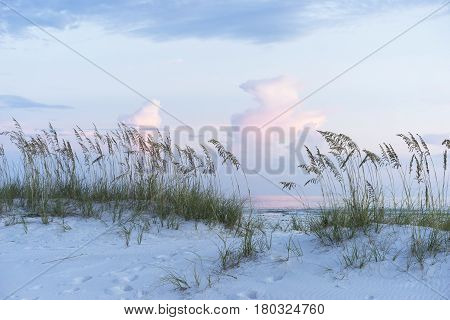 Soft muted blues and pinks adorn a pristine Florida beach at sunset complete with white sand dunes and sea oats.