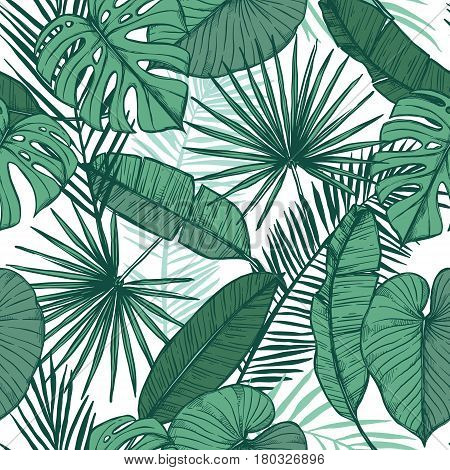 Hand Drawn Vector Background - Palm Leaves (monstera, Areca Palm, Fan Palm, Banana Leaves). Tropical