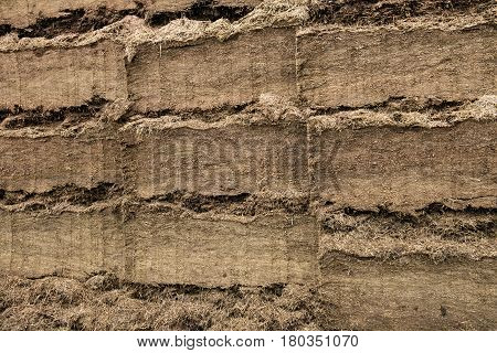 Texture of the pressed rapeseed cake. Used in agriculture as an additive to livestock feed.