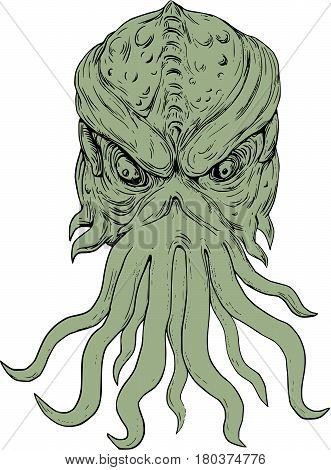 Drawing sketch style illustration of a head of a subterranean mythical sea monster with octopus-like head whose face has tentacles or feeler viewed from front set on isolated white background.