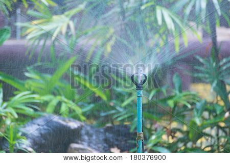 Sprinkler Watering For Plants In Garden Or Park