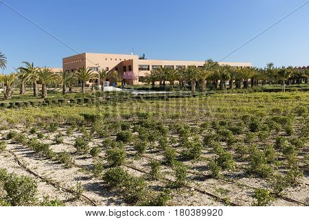 Elche Spain. March 30, 2017: Building corresponding to the Miguel Hernandez University of Elche in the province of