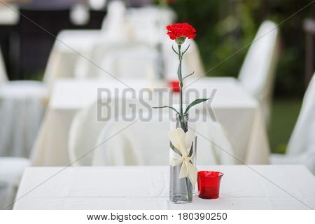 Beautiful red carnation flower in glass jar
