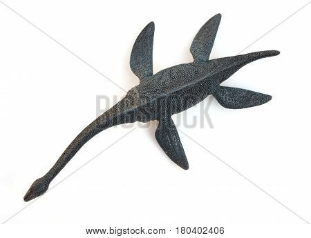 side view plesiosaurus on a white background
