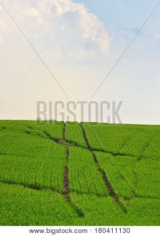 Hashtag sign on field from trails during day