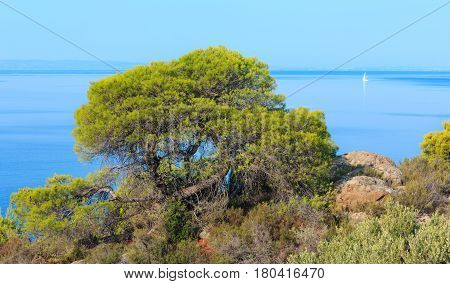 Morning Aegean Coast, Sithonia, Greece.